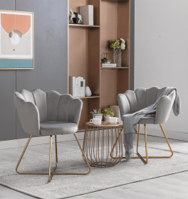 Velvet Accent/Conversation Lounge Chair With Iron Metal Gold Plated Legs;  Suitable For Office;  Lounge;  Living Room;  Set of 2;  Yellow (Color: Grey)